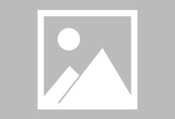 关于转折点！夏洛特黄蜂更衣室发声，NBA季后赛关键时刻攻防权衡，话题不断，数据趋势出现新变化的信息